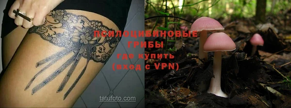 Альфа ПВП Володарск
