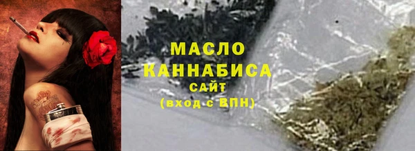 мдпв Волоколамск