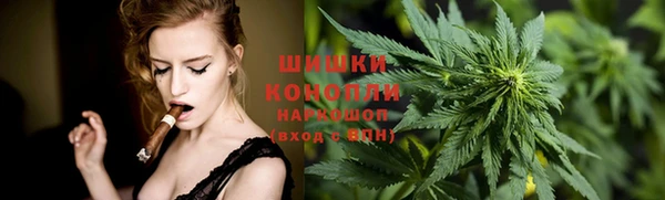 мдпв Волоколамск