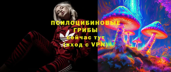 мдпв Волоколамск