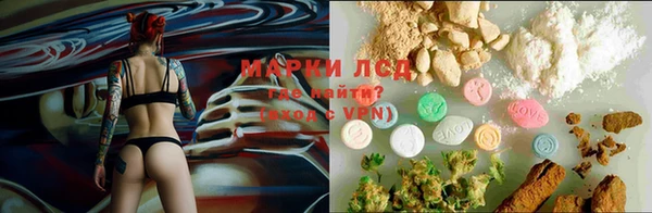 шишки Волосово