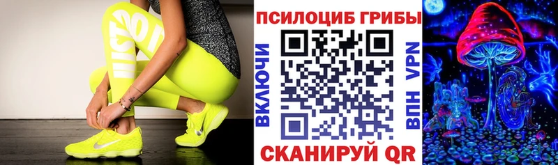 Купить  Сегежа  Псилоцибиновые грибы GOLDEN TEACHER 